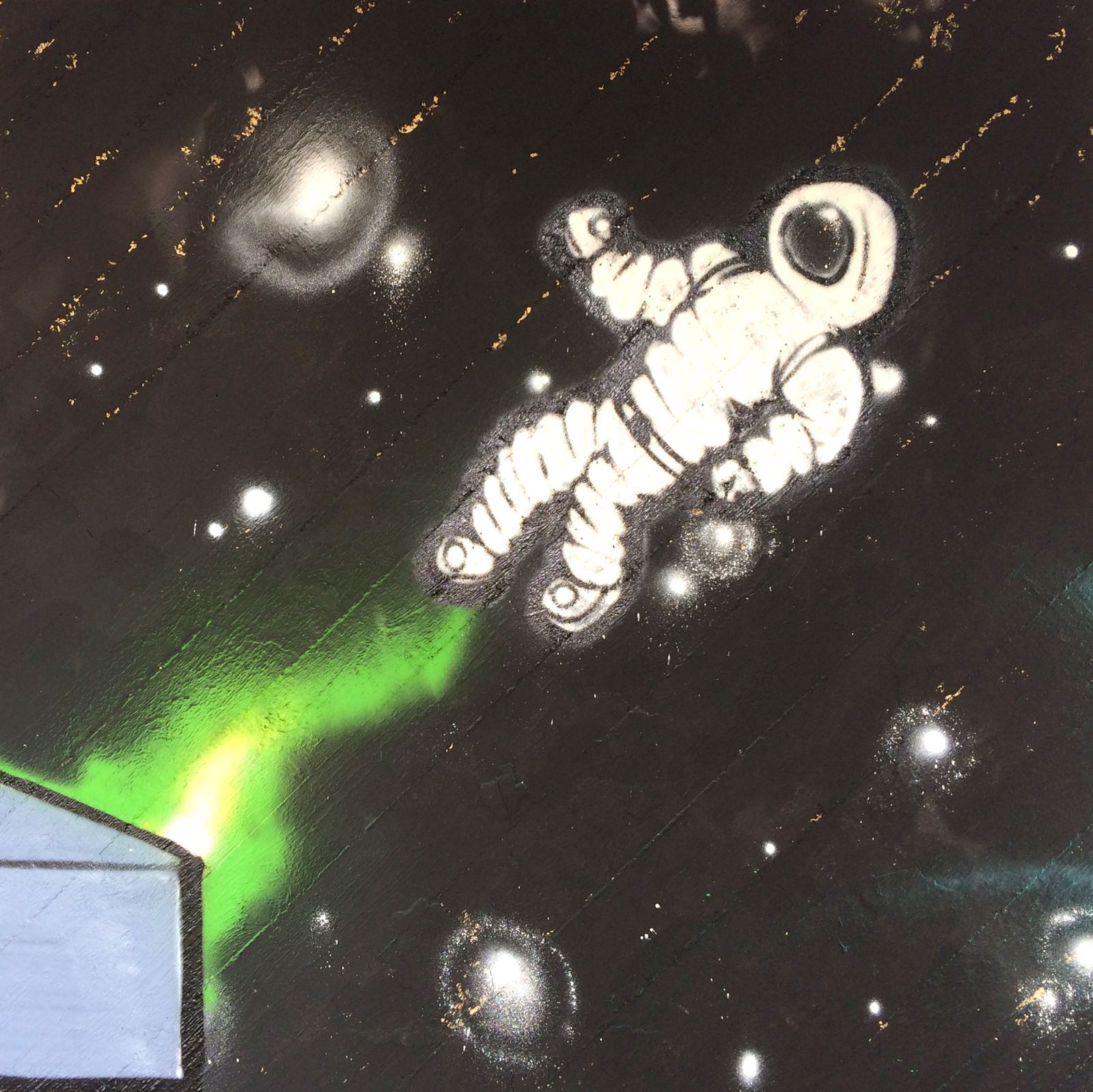 Astronauta Sotto il mare